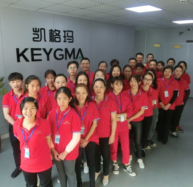 China Shenzhen Keygma Electrical Manufacturing Co.,Ltd Bedrijfsprofiel